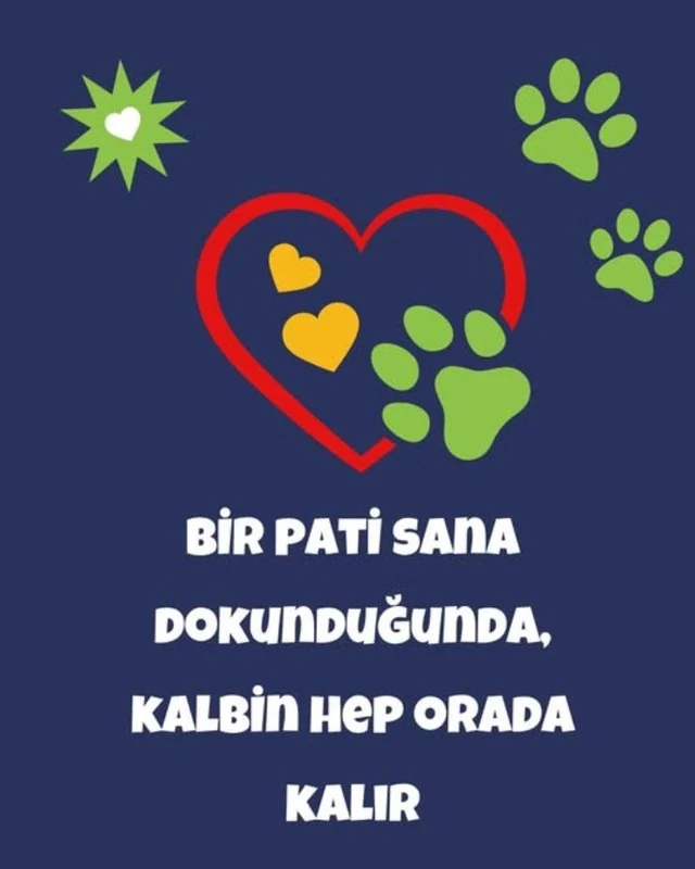 Pet Türkiye