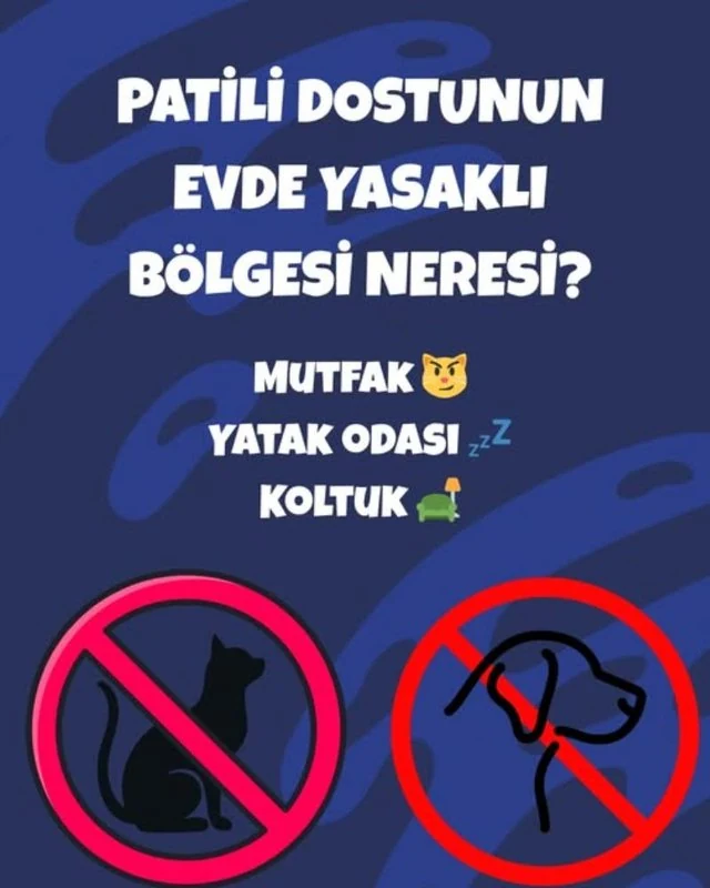 Pet Türkiye, 2